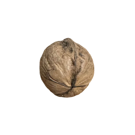 Walnut (OKHAR -ओखर)